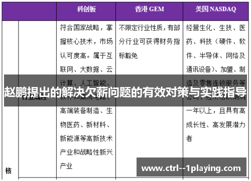赵鹏提出的解决欠薪问题的有效对策与实践指导