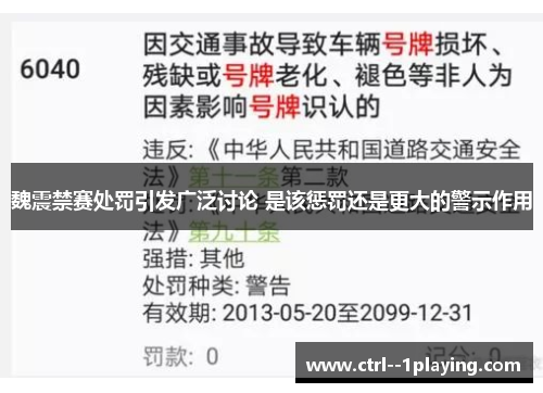 魏震禁赛处罚引发广泛讨论 是该惩罚还是更大的警示作用